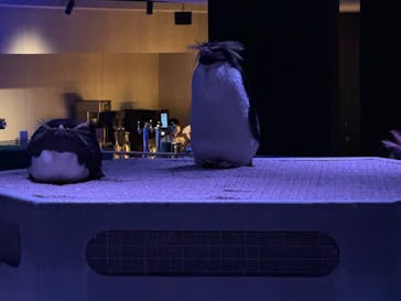 AOAO SAPPOROに投稿された画像（2025/4/3）