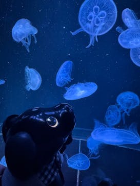 AOAO SAPPOROに投稿された画像（2025/4/3）