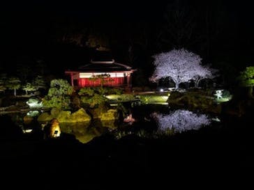 NAKED meets 二条城 2025 観月に投稿された画像（2025/4/3）