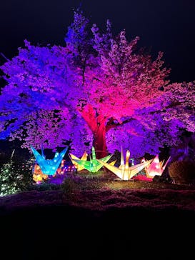 伊豆高原グランイルミに投稿された画像（2025/4/3）