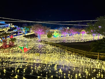 伊豆高原グランイルミに投稿された画像（2025/4/3）