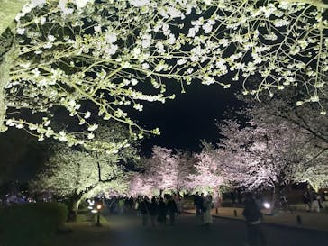 万博記念公園に投稿された画像（2025/4/3）