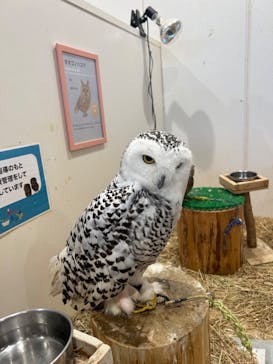 アニタッチみなとみらいに投稿された画像（2025/4/3）