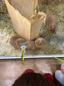 アニタッチみなとみらいに投稿された画像（2025/4/3）