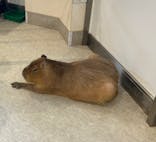 アニタッチみなとみらいに投稿された画像（2025/4/3）