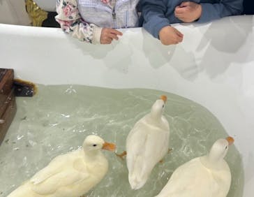 アニタッチみなとみらいに投稿された画像（2025/4/3）