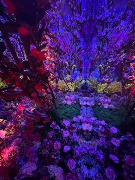 蜷川実花展 with EiM：彼岸の光、此岸の影 NINAGAWA Mika with EiM：Lights of the beyond, Shadows of this worldに投稿された画像（2025/4/3）