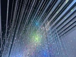 蜷川実花展 with EiM：彼岸の光、此岸の影 NINAGAWA Mika with EiM：Lights of the beyond, Shadows of this worldに投稿された画像（2025/4/3）