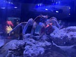 すみだ水族館に投稿された画像（2025/4/4）