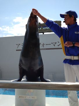 鴨川シーワールドに投稿された画像（2025/4/4）