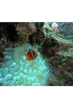 武藤潜水に投稿された画像（2025/4/4）