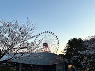 鈴鹿サーキットに投稿された画像（2025/4/4）