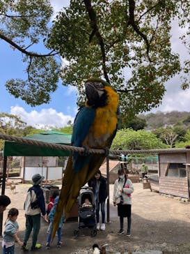 伊豆アニマルキングダムに投稿された画像（2025/4/4）