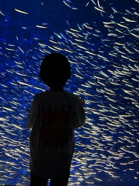 大分マリーンパレス水族館 「うみたまご」に投稿された画像（2025/4/4）