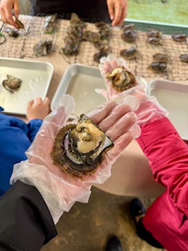 真珠工房 真珠の里に投稿された画像（2025/4/4）