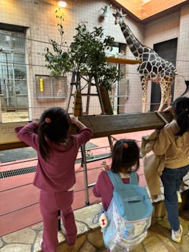 天王寺動物園に投稿された画像（2025/4/4）