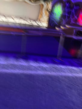 ラグーナテンボス ラグナシアに投稿された画像（2025/4/4）