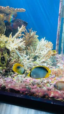 串本海中公園水族館に投稿された画像（2025/4/4）