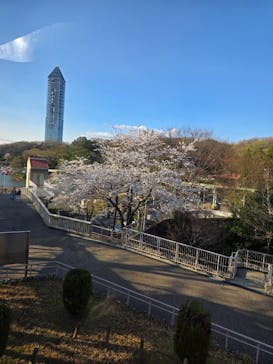 名古屋市東山動植物園に投稿された画像（2025/4/4）