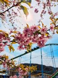 姫路セントラルパークに投稿された画像（2025/4/4）