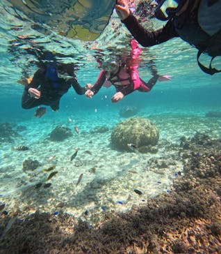 沖縄マリンサービス碧に投稿された画像（2025/4/4）