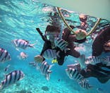 青の洞窟専門店　沖縄ダイビングショップ和に投稿された画像（2025/4/4）