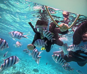 青の洞窟専門店　沖縄ダイビングショップ和に投稿された画像（2025/4/4）