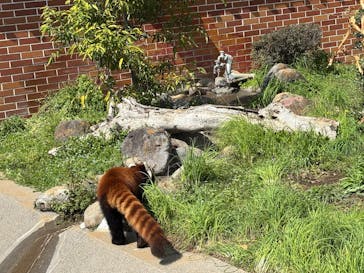 東武動物公園に投稿された画像（2025/4/4）