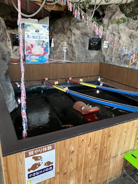 アソビュー株式会社 161452に投稿された画像（2025/4/4）