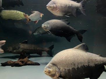 アソビュー株式会社 161452に投稿された画像（2025/4/4）