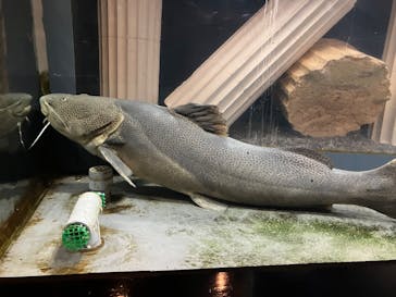 アソビュー株式会社 161452に投稿された画像（2025/4/4）