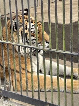 宇都宮動物園に投稿された画像（2025/4/4）