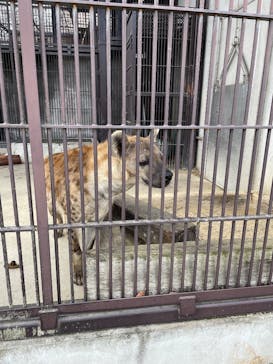宇都宮動物園に投稿された画像（2025/4/4）