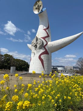 万博記念公園に投稿された画像（2025/4/4）