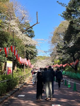 恩賜上野動物園に投稿された画像（2025/4/4）
