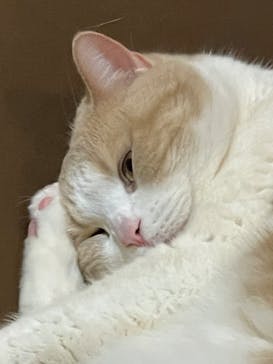 第4回名古屋モーターサイクルショーに投稿された画像（2025/4/4）