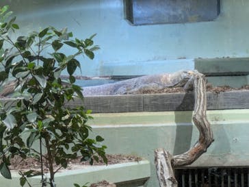 名古屋市東山動植物園に投稿された画像（2025/4/4）