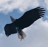 那須どうぶつ王国に投稿された画像（2025/4/4）