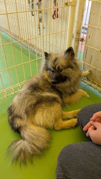 つくばわんわんランドに投稿された画像（2025/4/4）