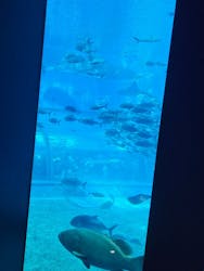 ラド観光 沖縄営業所に投稿された画像（2025/4/4）