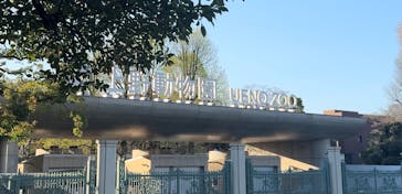 恩賜上野動物園に投稿された画像（2025/4/4）