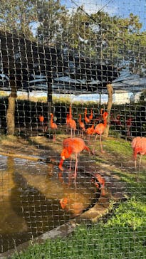 恩賜上野動物園に投稿された画像（2025/4/4）