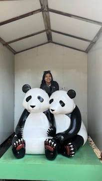 恩賜上野動物園に投稿された画像（2025/4/4）