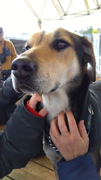 那須どうぶつ王国に投稿された画像（2025/4/4）