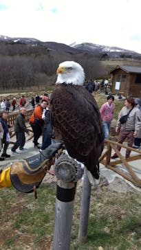 那須どうぶつ王国に投稿された画像（2025/4/4）