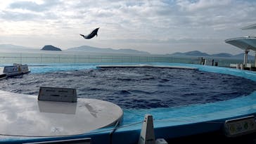 四国水族館に投稿された画像（2025/4/4）