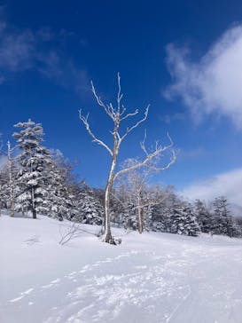 EN RESORT Grandeco Resortに投稿された画像（2025/4/4）