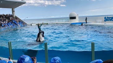 鴨川シーワールドに投稿された画像（2025/4/4）