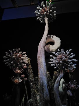 金曜ロードショーとジブリ展　三重展に投稿された画像（2025/4/4）