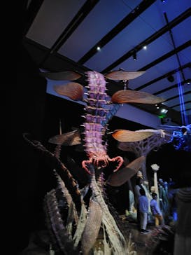 金曜ロードショーとジブリ展　三重展に投稿された画像（2025/4/4）